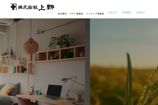 株式会社上野